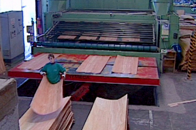 L'industrie du bois - Le bois, ressource naturelle - Introduction - 2mn 00s